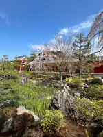 蓮華王院 三十三間堂の写真・動画_image_752697