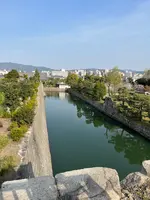 二条城の写真・動画_image_752706