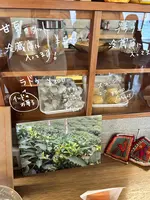 Tea Shop Parvatiの写真・動画_image_753692
