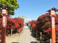 長岡天満宮の写真・動画_image_754759
