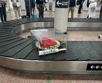 高知空港（高知龍馬空港）の写真・動画_image_756770