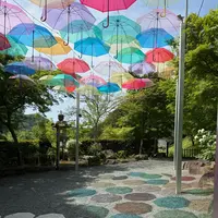 宝徳寺の写真・動画_image_756974