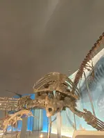 福井県立恐竜博物館の写真・動画_image_757400
