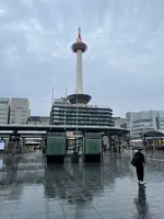 鉄板 焼き鳥 一の写真・動画_image_758486