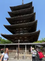 法観寺 八坂の塔の写真・動画_image_758922