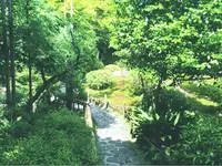鈴虫寺（華厳寺）の写真・動画_image_80284