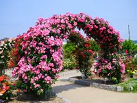 あやべグンゼスクエアの写真・動画_image_80295