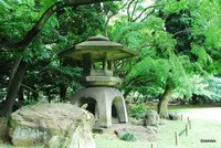旧岩崎邸庭園の写真・動画_image_81201