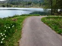 中綱湖の写真・動画_image_82329