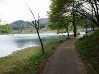 中綱湖の写真・動画_image_82331