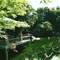 蚕糸の森公園の写真・動画_image_82770