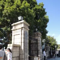 横浜外国人墓地の写真・動画_image_83158