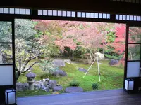 勝林寺の写真・動画_image_83587