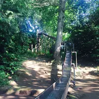 滝の根公園の写真・動画_image_83860