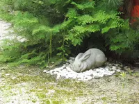 宇治神社の写真・動画_image_84963
