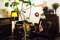 ニシクボ食堂の写真・動画_image_85202