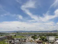 御茶屋御殿跡の写真・動画_image_85312
