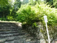 長滝白山神社の写真・動画_image_86271