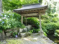 長滝白山神社の写真・動画_image_86273