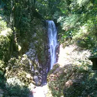 県立国見の森公園の写真・動画_image_86912