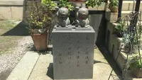 今戸神社の写真・動画_image_87493