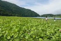 中綱湖の写真・動画_image_89909