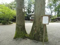 雄山神社（前立社壇）の写真・動画_image_90020