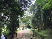 多鳩神社の写真・動画_image_90057