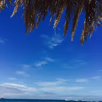 白良浜の写真・動画_image_93474