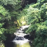 濃溝の滝の写真・動画_image_93872