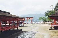 厳島神社の写真・動画_image_94193