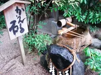 堀越神社(大阪)の写真・動画_image_96625