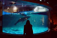 サンシャイン水族館の写真・動画_image_98208