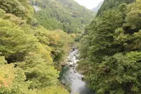 惣岳渓谷の写真・動画_image_98468