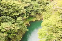 惣岳渓谷の写真・動画_image_98469