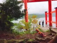 箱根神社の写真・動画_image_98926