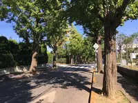 宝来公園の写真・動画_image_98956