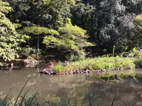 宝来公園の写真・動画_image_98967