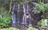 玉簾の滝の写真・動画_image_99972