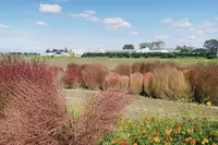 県営権現堂公園（幸手市権現堂堤）の写真・動画_image_1000670