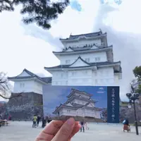 小田原城の写真・動画_image_1000710