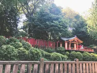 根津神社の写真・動画_image_1000757