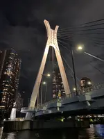 中央大橋の写真・動画_image_1009601
