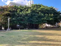 崇元寺跡の写真・動画_image_1026875