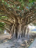 崇元寺跡の写真・動画_image_1026876