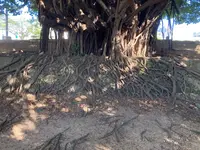崇元寺跡の写真・動画_image_1026877