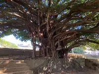 崇元寺跡の写真・動画_image_1026878