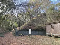 小島の写真・動画_image_1042788