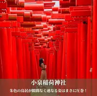 小泉稲荷神社の写真・動画_image_1075936