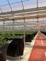 Strawberry Port Ichigonomiの写真・動画_image_1082735